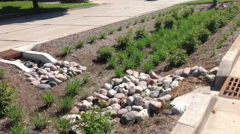 bioswale-mcguire-earth-works | McGuire Earth Works, Inc. Bioswale Definition | Commercial Landscaping | McGuire Earth Works, Inc.