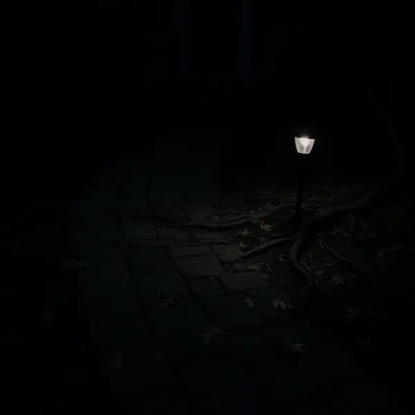 Dim front walkway with uneven pavers and a weak solar light at night