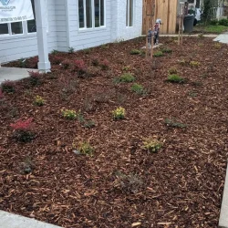 Renovations Defining | Commercial Landscaping | McGuire Earth Works, Inc