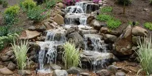 landscaping near me in folsom california