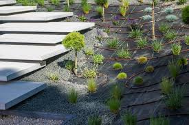 Planting and Watering Install | Orangevale, CA