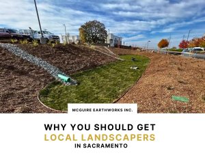 Why You Should Get Local Landscapers in Sacramento